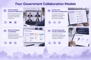 Government Collaboration Models